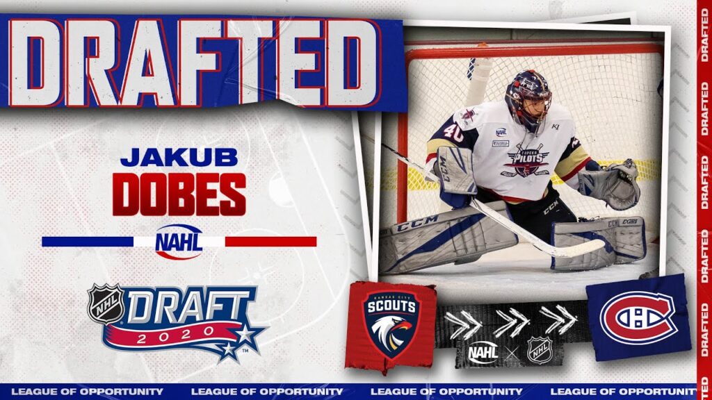 2020 nhl draft jakub dobes