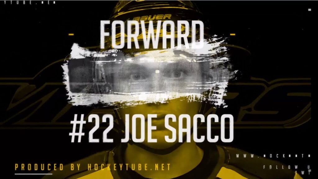 22 joe sacco profile
