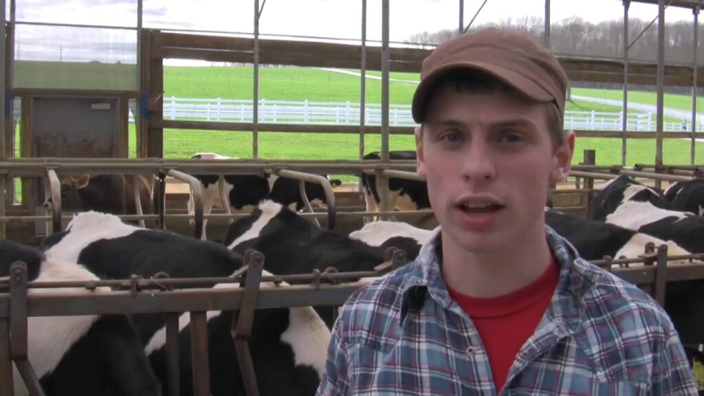 cdn internships chris freeman