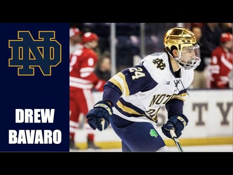 ncaa free agents drew bavaro highlights 1