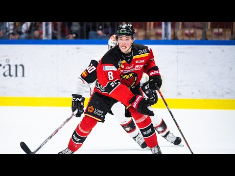 profile of noel gunler 2020 nhl draft prospect
