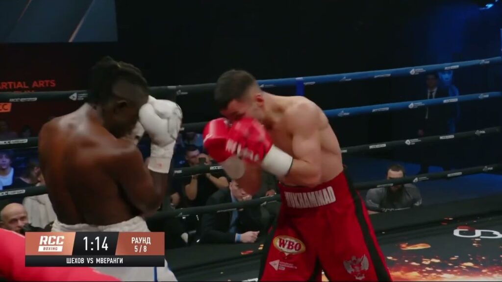 shekhov mukhammad boxing