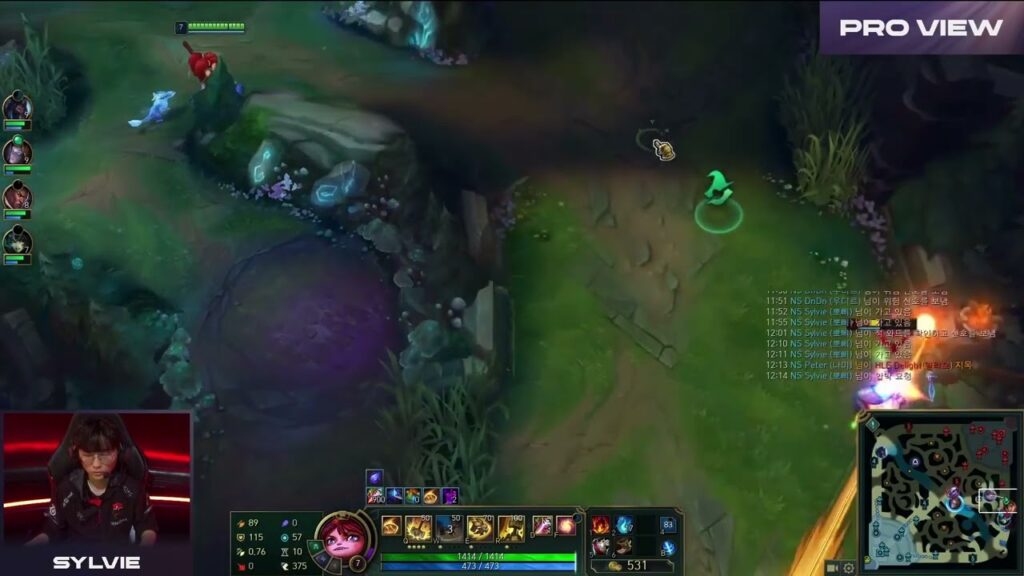 sylvie pro view ns vs hle lck 2024 spring