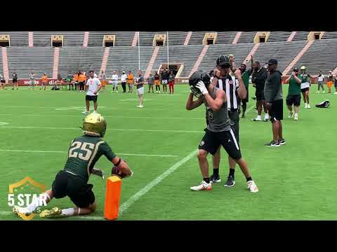 you gotta see this braylon harmon catch