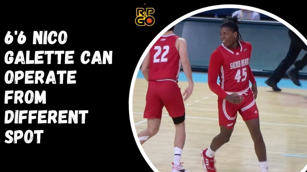66 nico galette can operate from different spots full highlights vs liu brooklyn