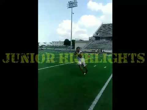 alphie guillory junior highlights 2017 2018 1