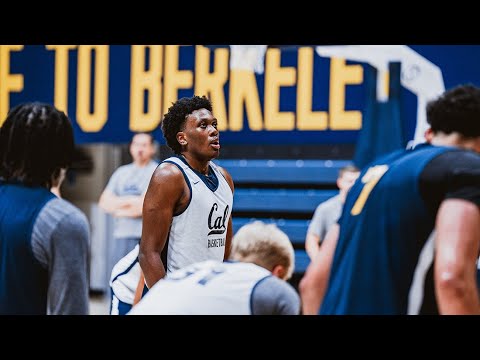 cal mens basketball meet the bears joshua ola joseph