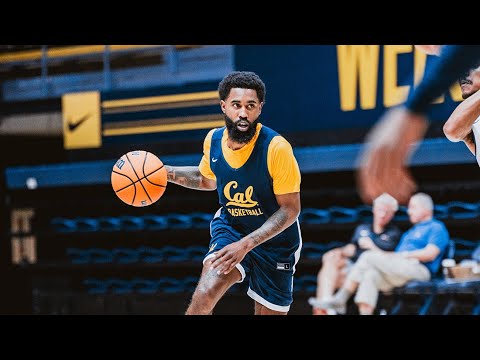 cal mens basketball meet the bears jovan blacksher jr