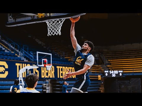 cal mens basketball meet the bears spencer mahoney
