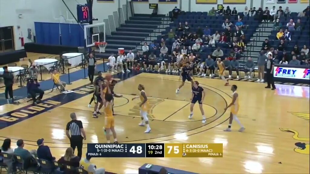 cam palesse wing versatile canisius