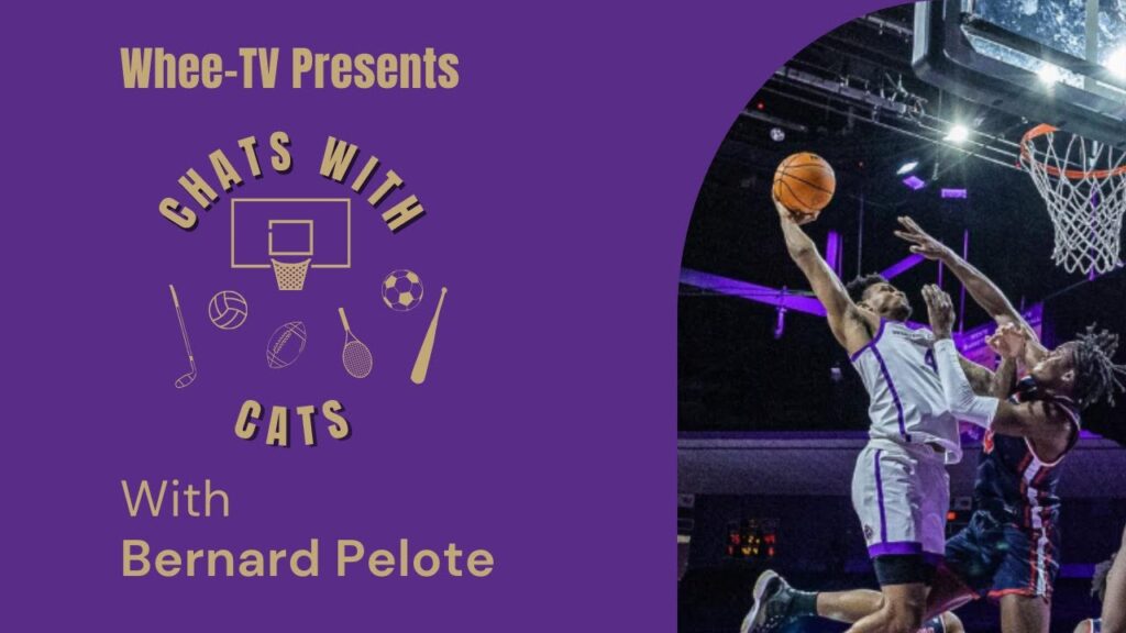 chats with cats bernard pelote interview