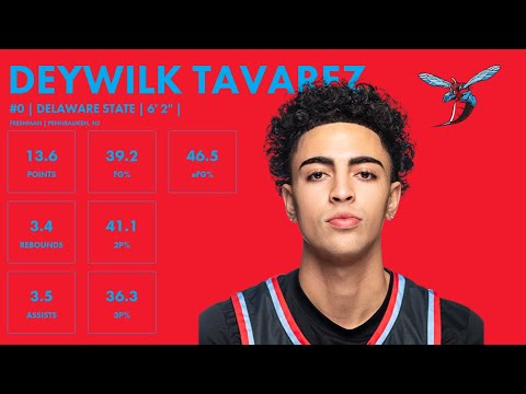 deywilk tavarez delaware state 2023 24 transfer portal highlights