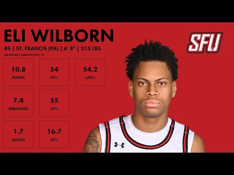 eli wilborn st francis pa 2023 24 transfer portal highlights