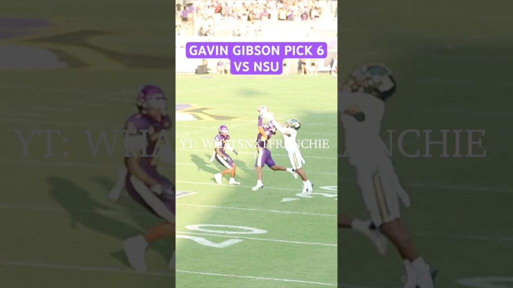 gavin gibson pick 6 vs nsu august 31 2024 collegefootball eastcarolina