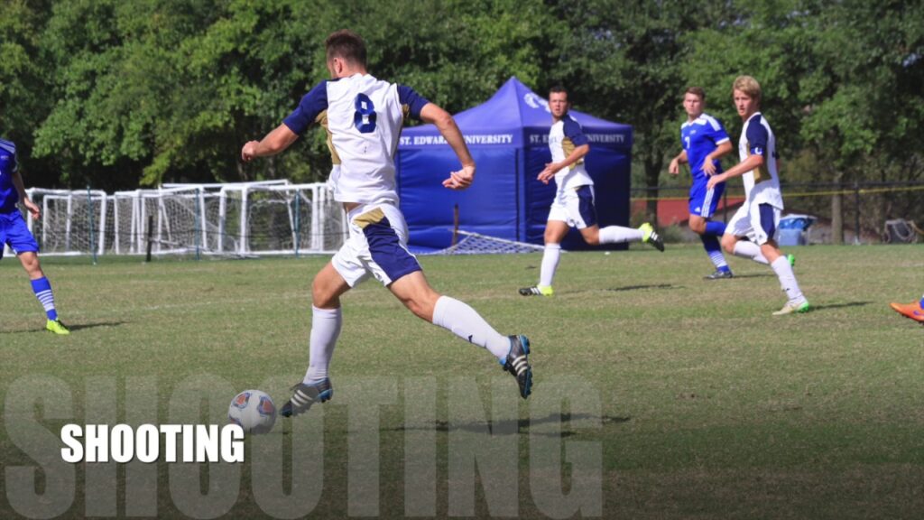 josh taylor highlights