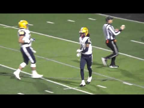 kent state commit dashawn martin makes highlight reel catches in playoff win