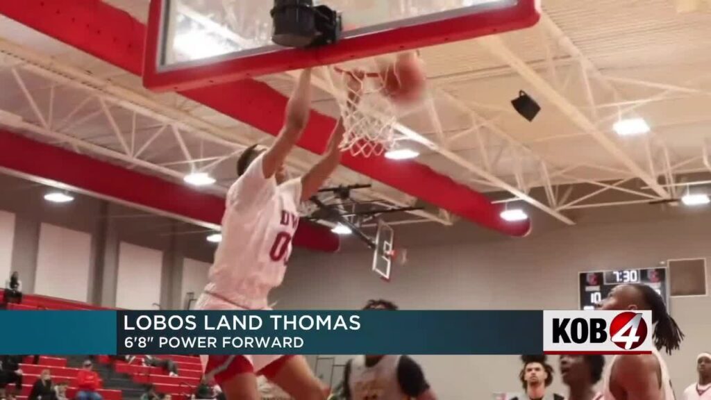 lobo basketball lands power forward daniel thomas