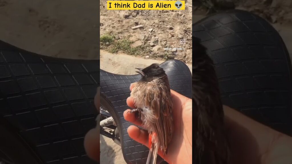 my dad is an alien the truth revealed ibrahim al malik