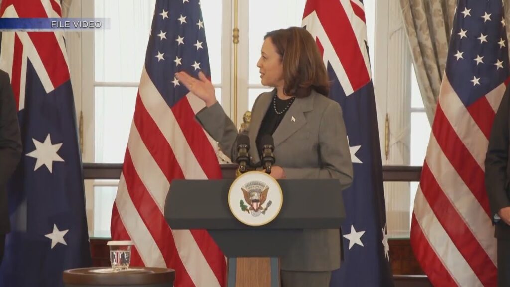 new mexico governor endorses vp harris for president
