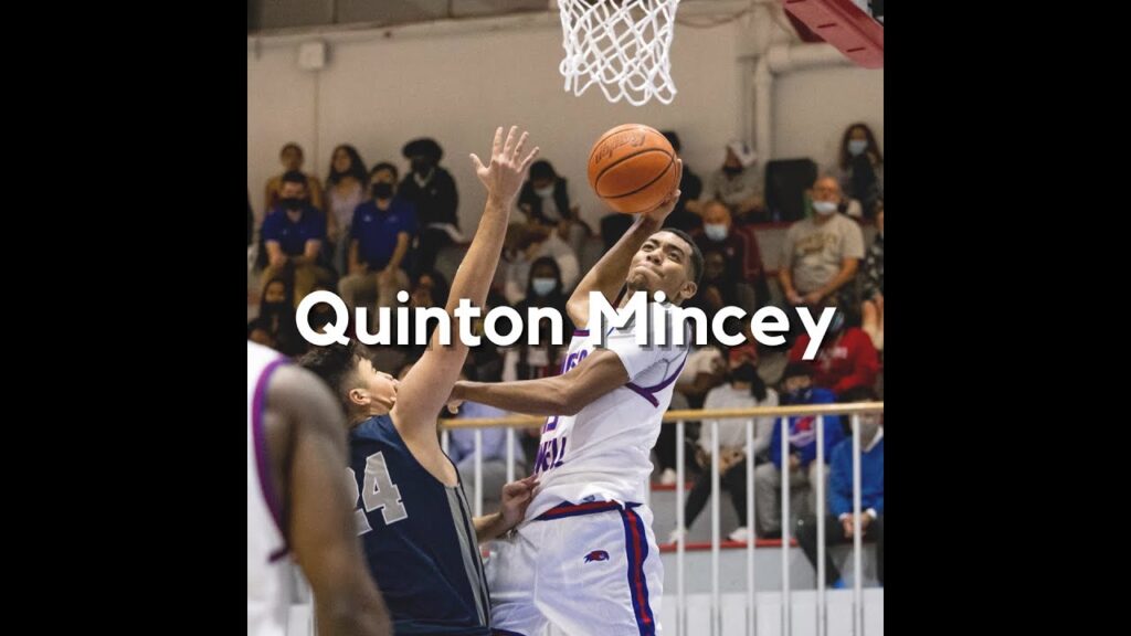 pro vibes quinton mincey