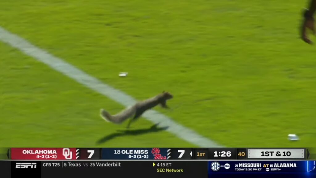 squirrel runs on field during oklahoma vs ole miss game