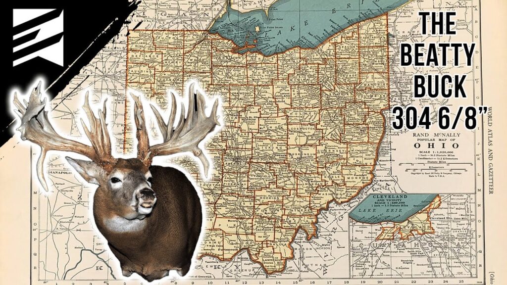 the former overall world record the beatty buck
