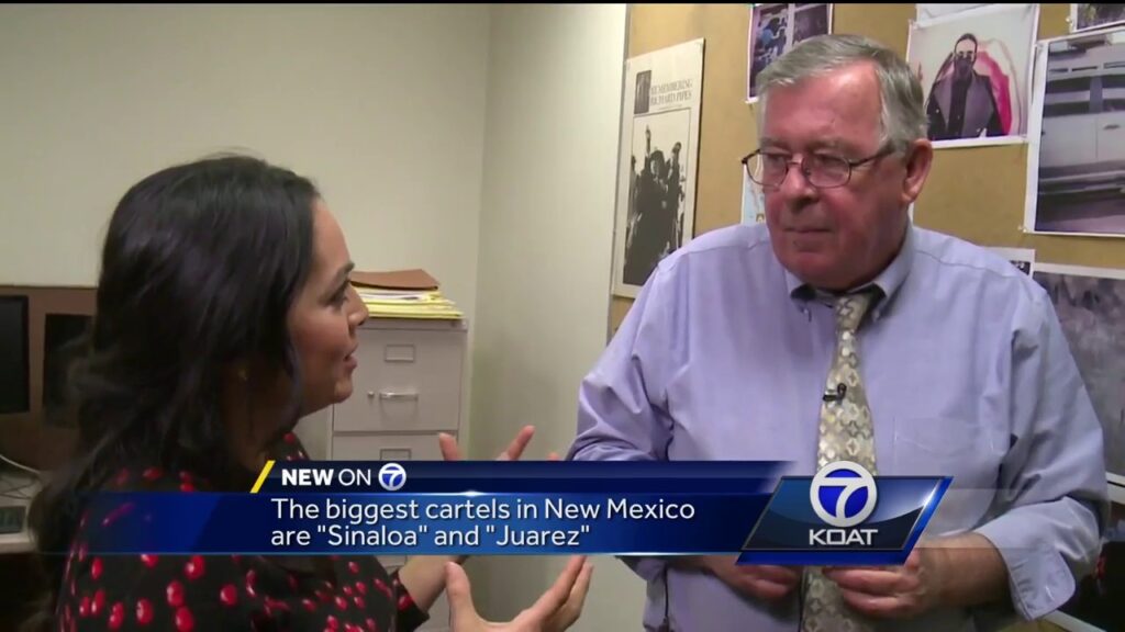 video cartels in new mexico