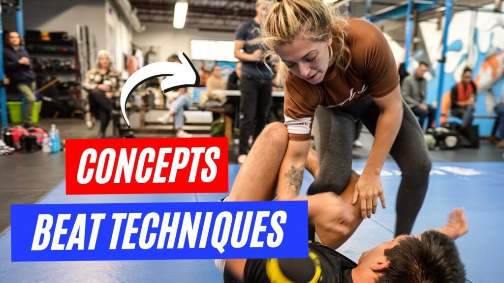 a conceptual approach to passing the guard gi nogi bjj theory